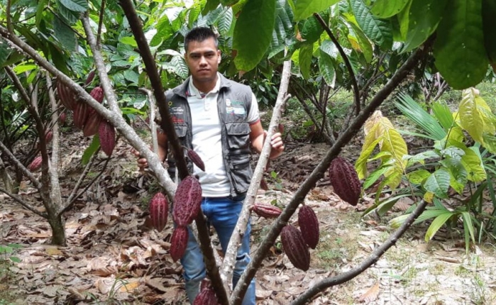 Soluciones-agricolas-cacao